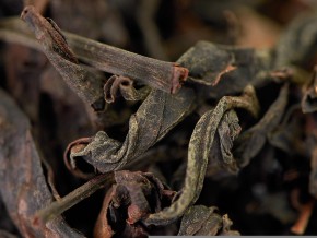 Mei Zhen Bai Cha "AA" (Biała herbata w stylu Dong Fan Mei Zhen)