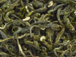 Bi Luo Chun „AA” (Szmaragdowe Spirale Wiosny), 2025