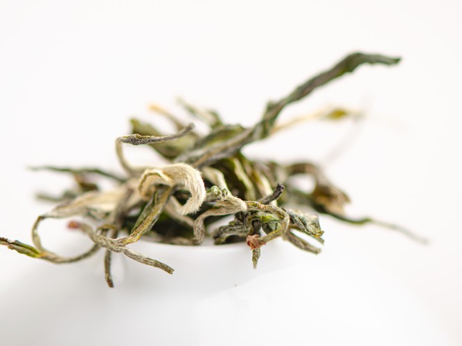 Zao Chun Mao Feng „AAA”, Yunnan, wiosna 2025 r