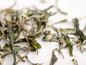 Zao Chun Mao Feng „AAA”, Yunnan, wiosna 2025 r