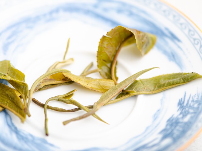 Zao Chun Mao Feng „AAA”, Yunnan, wiosna 2025 r