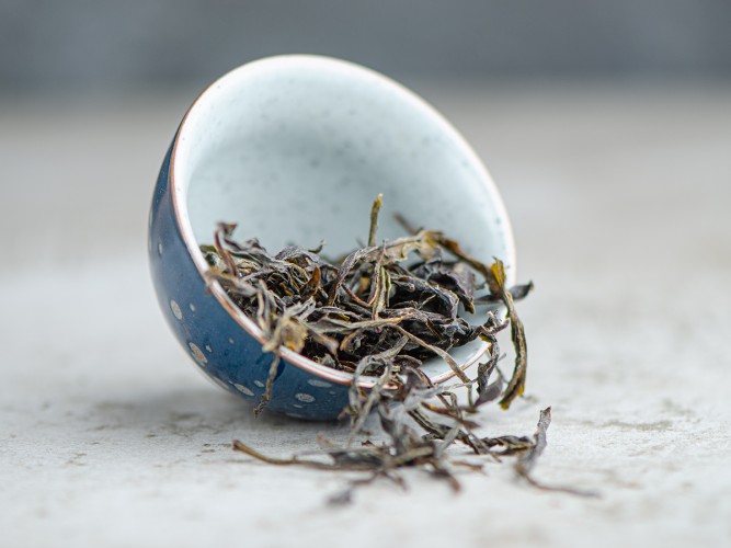 Gruziński Zielony Ratna „AA", 2025