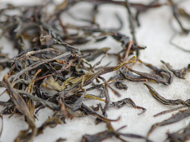 Gruziński Zielony Ratna „AA", 2025