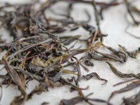 Gruziński Zielony Ratna „AA", 2025