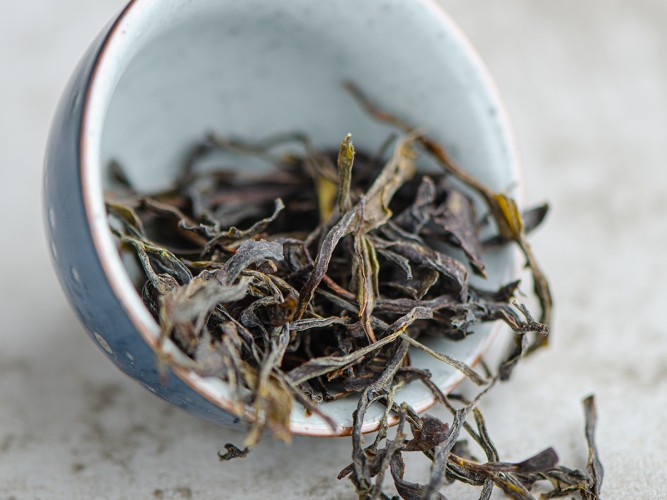 Gruziński Zielony Ratna „AA", 2025