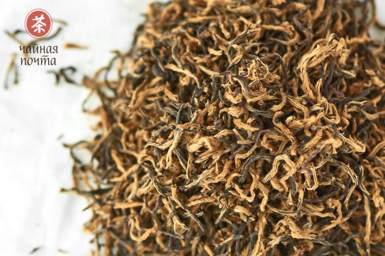 Jin Jun Mei „AAA” (Złote brwi), 2024