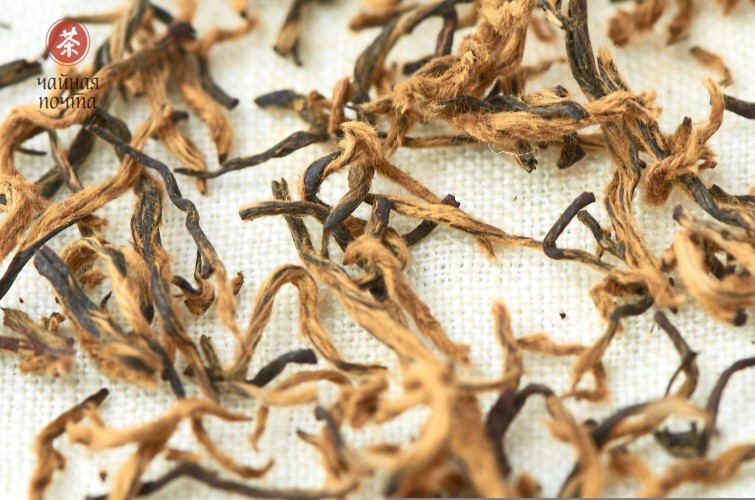 Jin Jun Mei „AAA” (Złote brwi), 2024