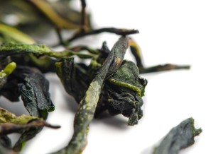 Bing Xiang Dan Cong „AAA”, 2025 r. (pojedyncze krzewy o mroźnym aromacie)