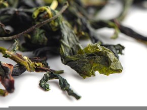 Bing Xiang Dan Cong „AAA”, 2025 r. (pojedyncze krzewy o mroźnym aromacie)