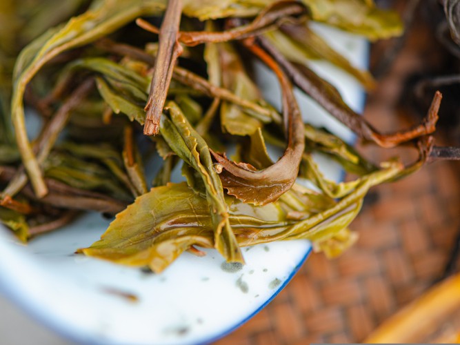 Herbata Zielona "Dziki Las", Ratna „AA", 2025