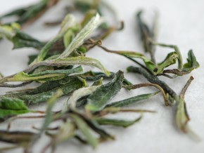 Herbata Biała "Dzika Koniczyna", Ratna, Georgia, 2025.