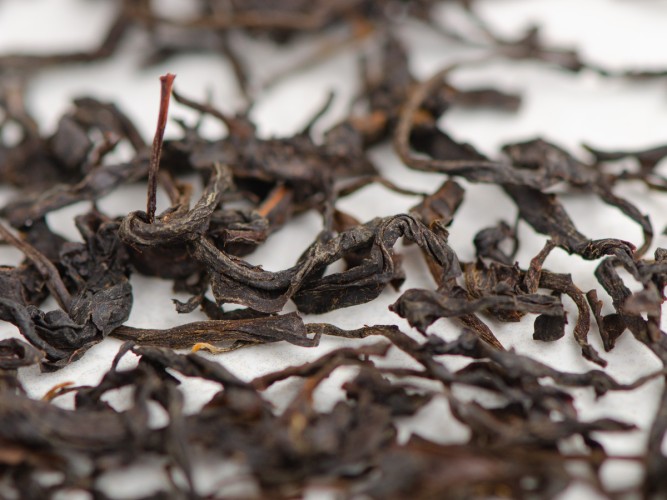 Oolong "Zemo", Tkibuli, 2025