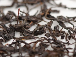 Oolong "Zemo", Tkibuli, 2025