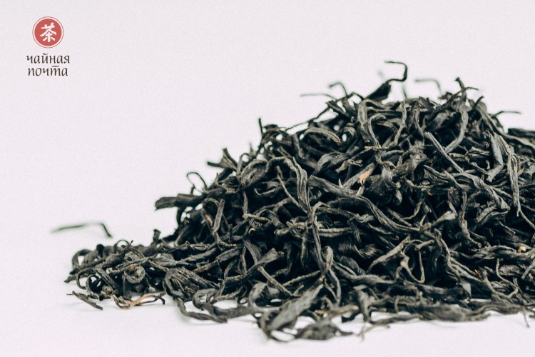 GABA „Kwaśne Jabłko”, Ratna, Gruzja, 2025