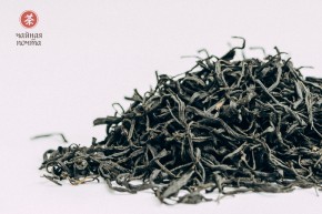 GABA „Kwaśne Jabłko”, Ratna, Gruzja, 2025