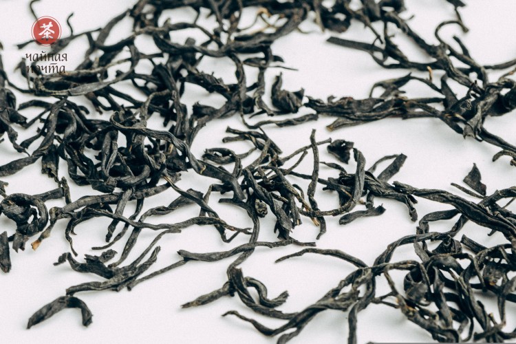 GABA „Kwaśne Jabłko”, Ratna, Gruzja, 2025