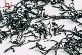 GABA „Kwaśne Jabłko”, Ratna, Gruzja, 2025