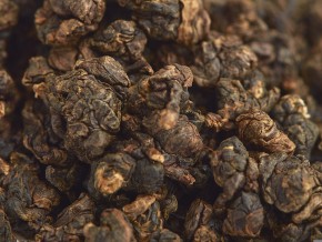 GABA Ali Shan "AAA" (GABA z Góry Ali)