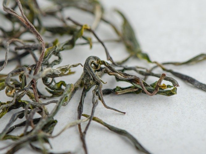 Sheng pu'er „Agrest”, Tkibuli, Gruzja, 2025