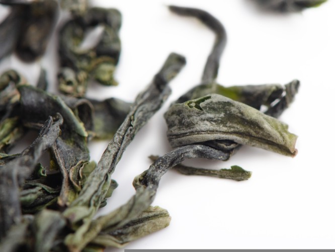 Luan Gua Pian „AA” (nasiona dyni Luan), 2024