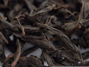 Shui Xian „AA” (Nieśmiertelny w Wodzie)