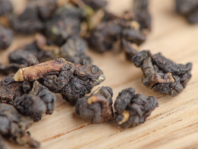 GABA Fermerskaja "A"