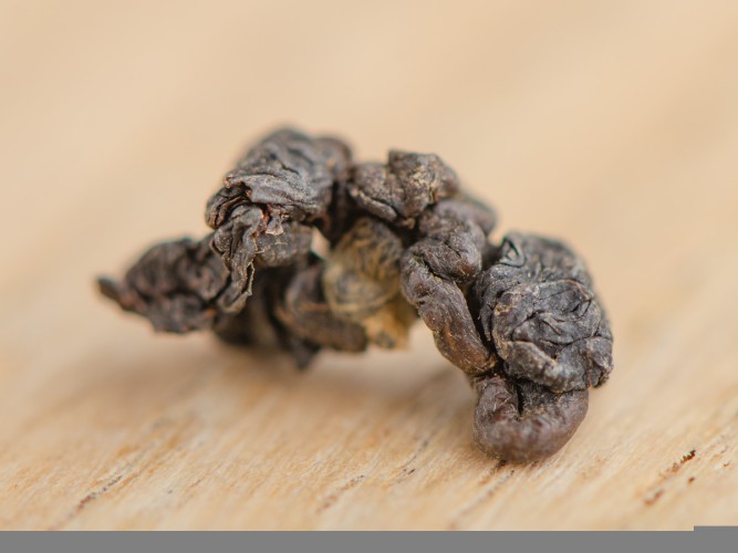 GABA Fermerskaja "A"