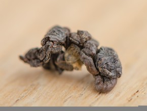 GABA Fermerskaja "A"