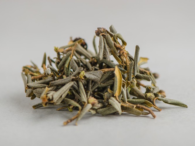 Sagan-Dailya "Winter" (Saigan-Dailya, Białe Skrzydło Szamana) "AA", 2024