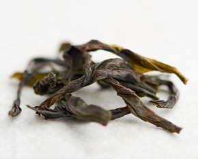 Ya Shi Xiang Dan Cong „AA” (pojedyncze krzewy o aromacie „kaczego odchodu”)