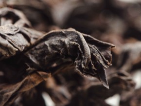 Fo Shou Gao Ho „AA” (Dłoń Buddy Silnego Rozgrzania)