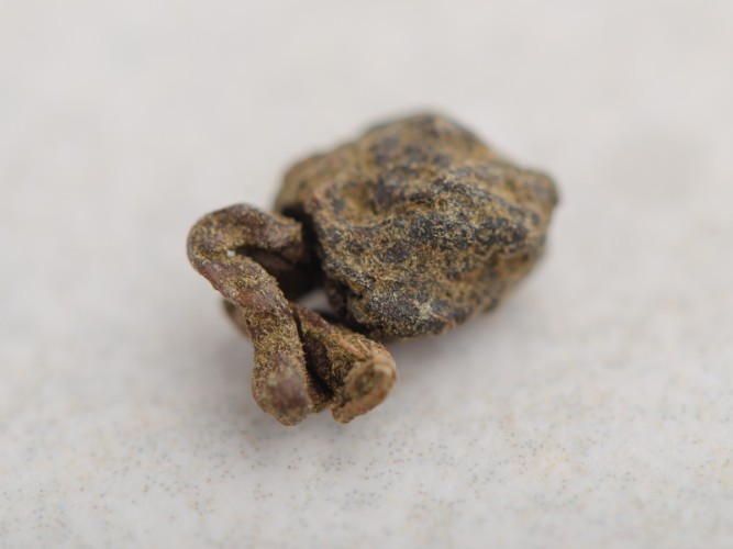 Zhen Shen Oolong "AAA", 2025