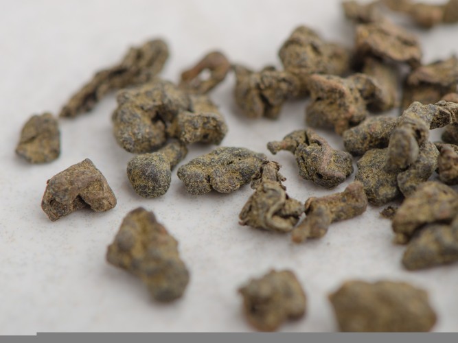 Zhen Shen Oolong "AAA", 2025