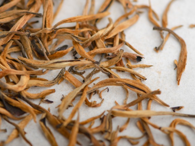 Dian Hong Da Jin Ya "AAA" (Wielka Złoty Pączek), 2025