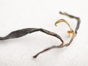 Wędzone czerwone „Lapsang Sushidze”, Khoni, Gruzja, 2025