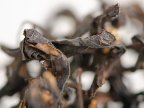 Wędzone czerwone „Lapsang Sushidze”, Khoni, Gruzja, 2025