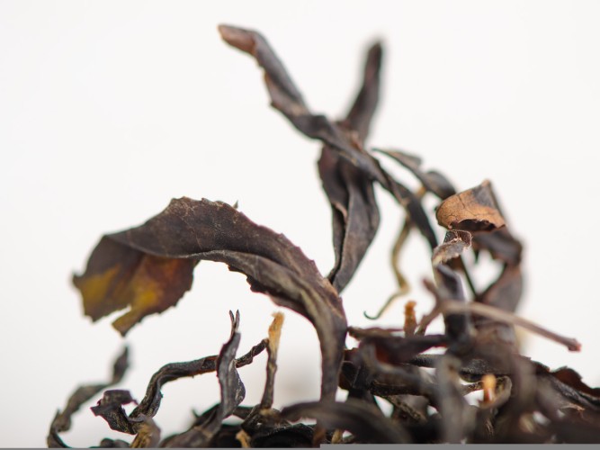 Wędzone czerwone „Lapsang Sushidze”, Khoni, Gruzja, 2025