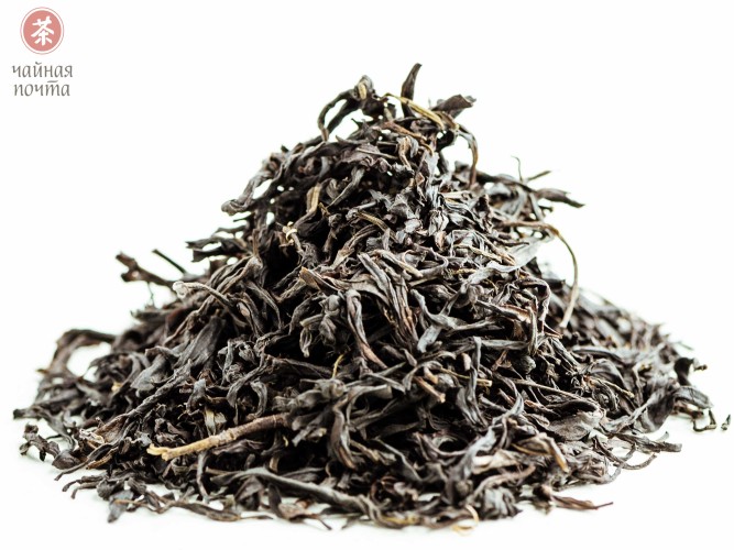 Jiu Do Zi Dan Cong "AAA" (Samotne krzewy z liśćmi o ostrych zębach)