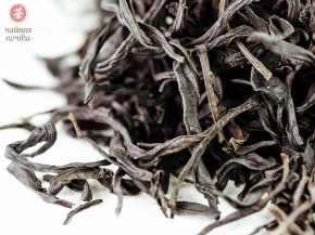 Jiu Do Zi Dan Cong "AAA" (Samotne krzewy z liśćmi o ostrych zębach)