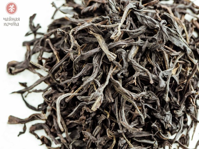 Jiu Do Zi Dan Cong "AAA" (Samotne krzewy z liśćmi o ostrych zębach)