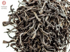 Jiu Do Zi Dan Cong "AAA" (Samotne krzewy z liśćmi o ostrych zębach)