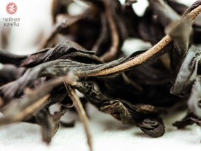 Jiu Do Zi Dan Cong "AAA" (Samotne krzewy z liśćmi o ostrych zębach)