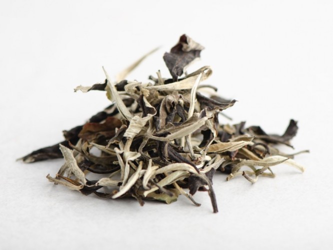 Yue Guang Bai (Białe światło księżyca) „A”, 2025