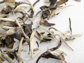 Yue Guang Bai (Białe światło księżyca) „A”, 2025