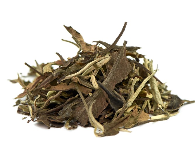 Yue Guang Bai (Białe światło księżyca) „AA”, 2025