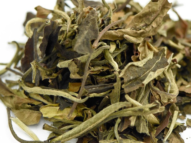 Yue Guang Bai (Białe światło księżyca) „AA”, 2025