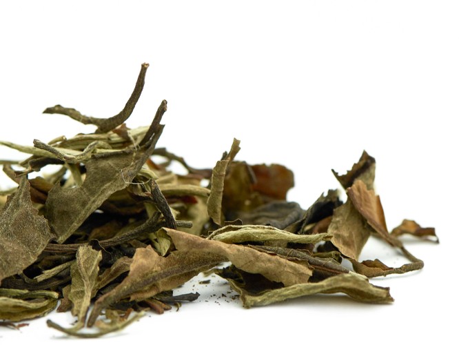 Yue Guang Bai (Białe światło księżyca) „AA”, 2025