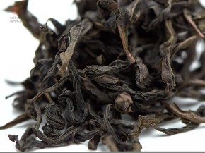 Huang Guan Yin „AAA” (Żółta Bogini Miłosierdzia), 1. miejsce