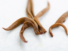 Dian Hong Jin Luo „AAA” 2025