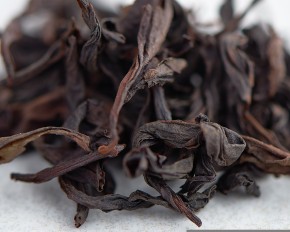 Shui Jin Gui „AAA” (Złoty Żółw Wodny)